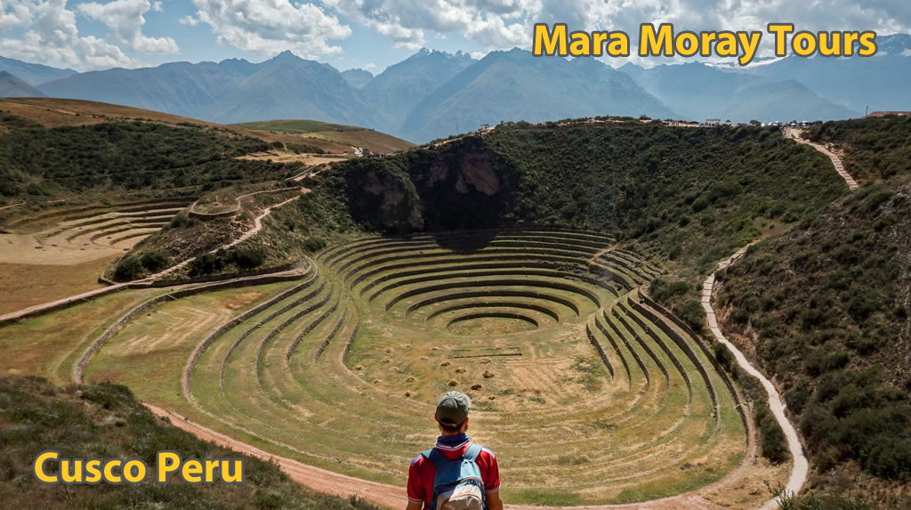 Contact Us - Maras Moray Tours